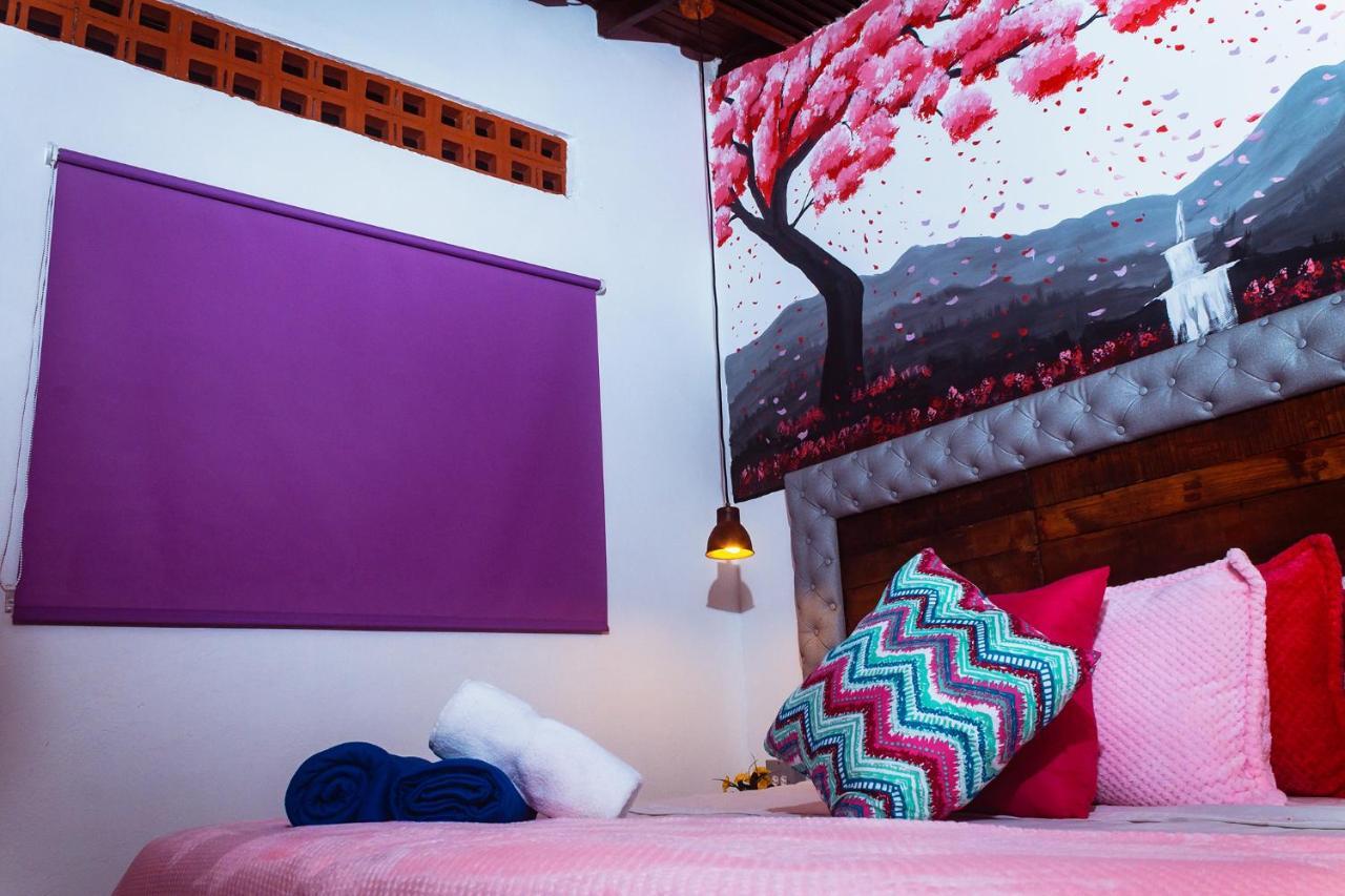 Albergue Boutique Provenza