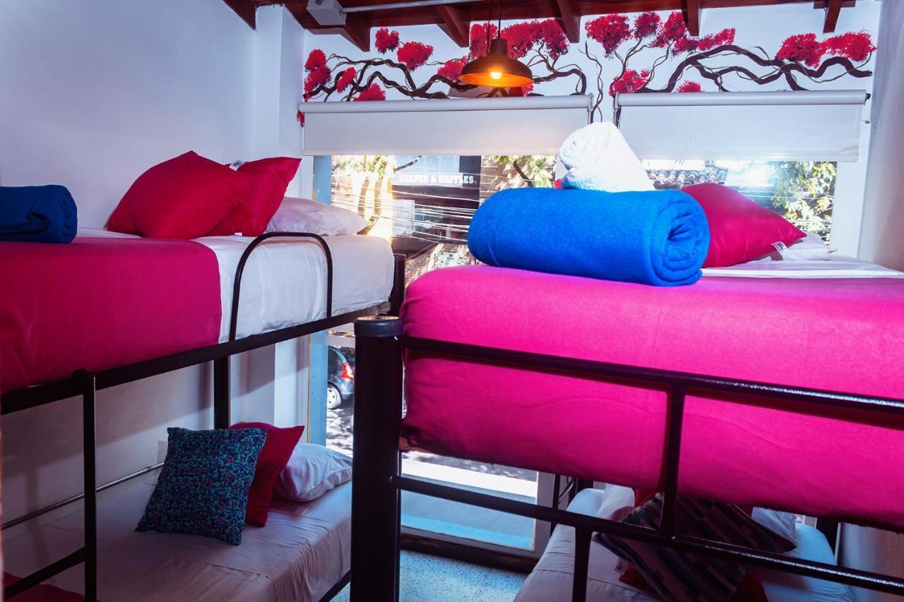 Albergue Boutique Provenza *