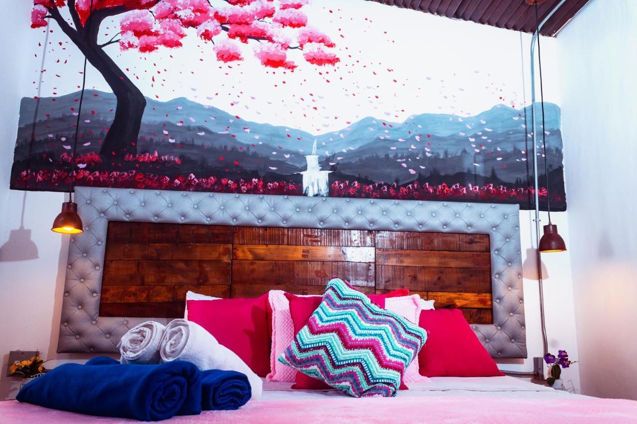 Boutique Provenza Albergue